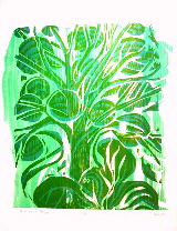 elemente3pflanze[1]kl